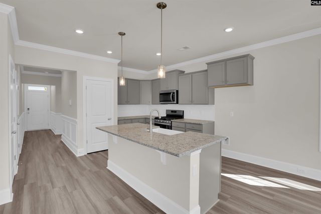 618 Griffon Drive, Chapin, SC 29036