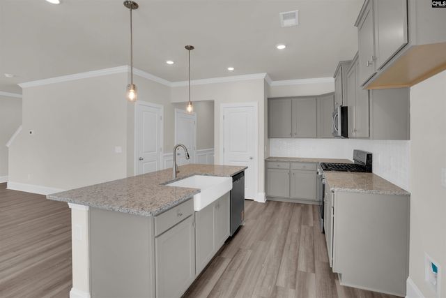 618 Griffon Drive, Chapin, SC 29036