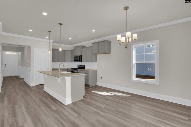 618 Griffon Drive, Chapin, SC 29036