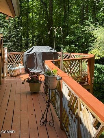 1633 Cardinal Drive, Gatlinburg, TN 37738