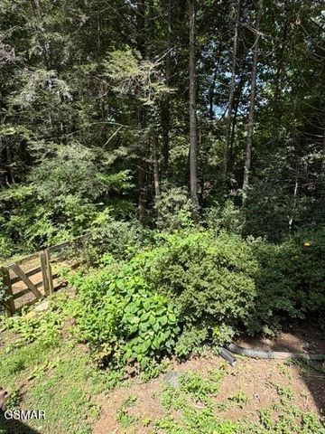 1633 Cardinal Drive, Gatlinburg, TN 37738