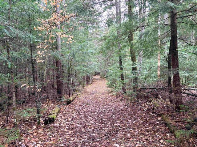142 King Pond Road, Woodbury, VT 05650