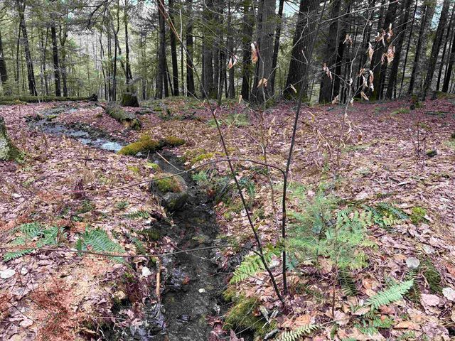 142 King Pond Road, Woodbury, VT 05650