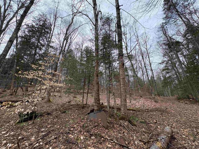 142 King Pond Road, Woodbury, VT 05650