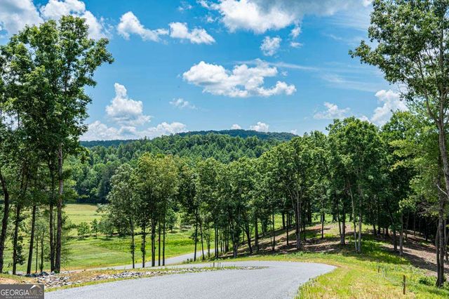 LT 151 The Ridges, Morganton, GA 30560