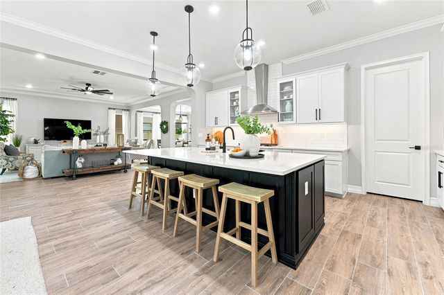 29818 PICANA LANE, Wesley Chapel, FL 33543