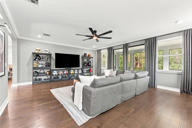 29818 PICANA LANE, Wesley Chapel, FL 33543