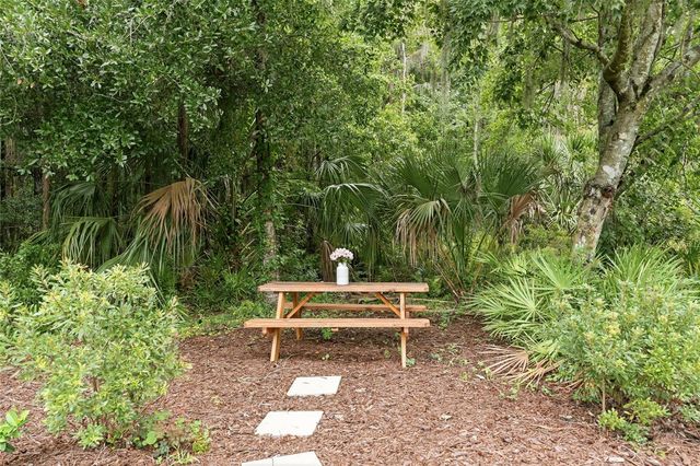29818 PICANA LANE, Wesley Chapel, FL 33543