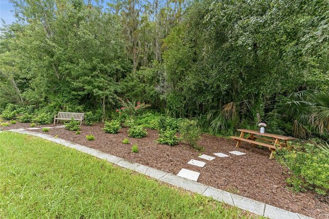 29818 PICANA LANE, Wesley Chapel, FL 33543