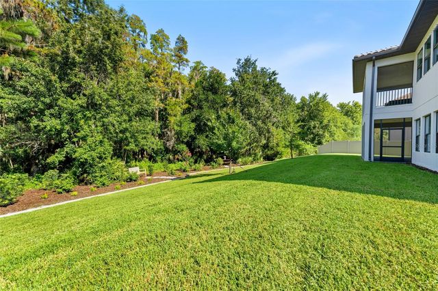 29818 PICANA LANE, Wesley Chapel, FL 33543
