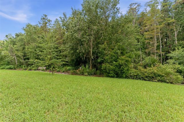 29818 PICANA LANE, Wesley Chapel, FL 33543