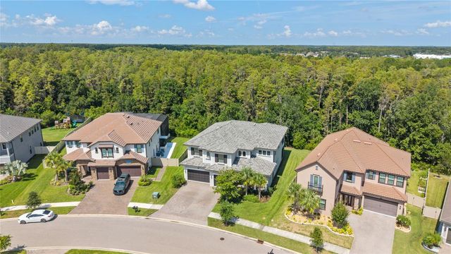 29818 PICANA LANE, Wesley Chapel, FL 33543
