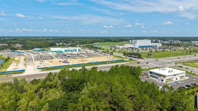 29818 PICANA LANE, Wesley Chapel, FL 33543
