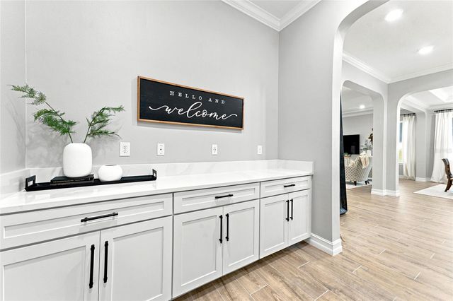 29818 PICANA LANE, Wesley Chapel, FL 33543