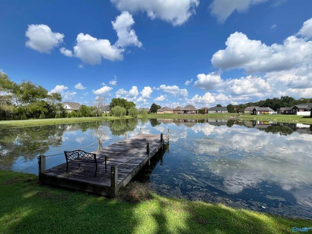 17916 Remington Drive, Athens, AL 35611