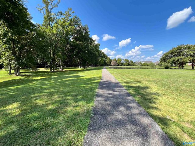 17916 Remington Drive, Athens, AL 35611