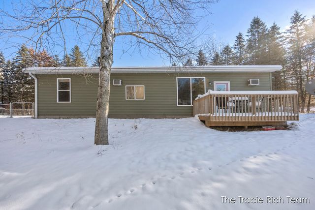 11582 Riehl Way, Greenville, MI 48838