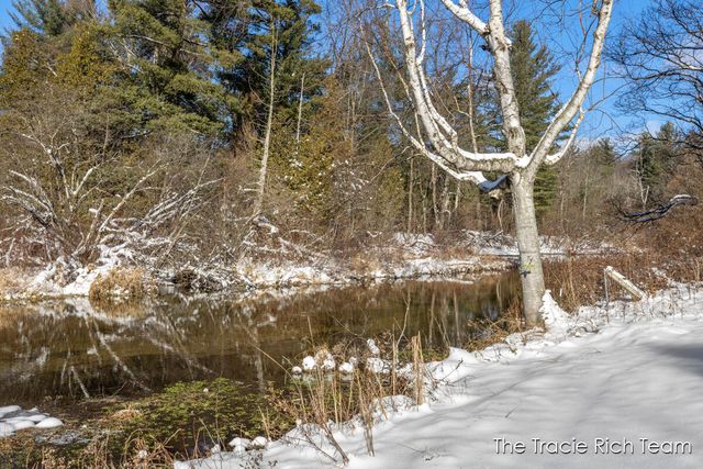 11582 Riehl Way, Greenville, MI 48838