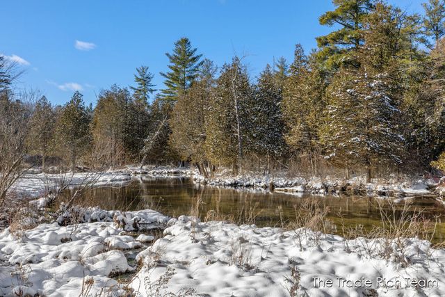 11582 Riehl Way, Greenville, MI 48838