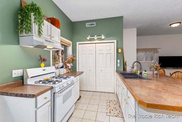 11582 Riehl Way, Greenville, MI 48838