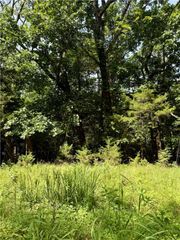 Lot 39 Pine Drive, Garfield, AR 72732