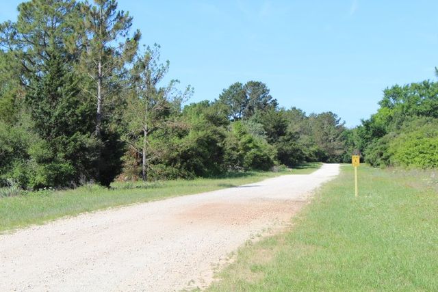 Lot 11 Ellis Lane, Normangee, TX 77871