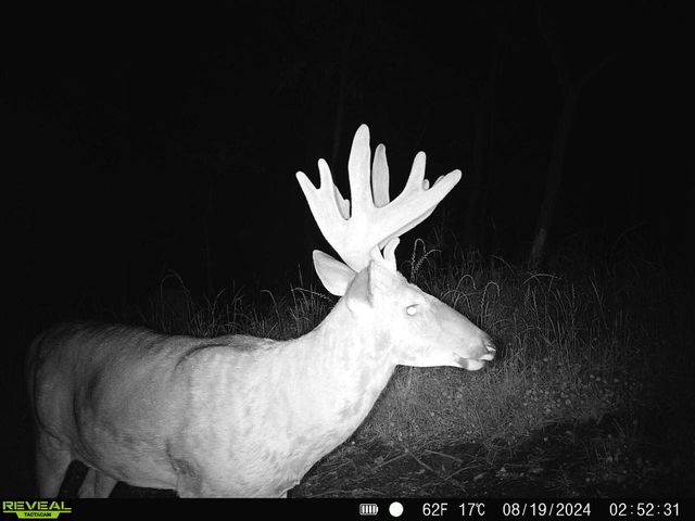 14096 Turben Ridge ROAD, Soldiers Grove, WI 54655