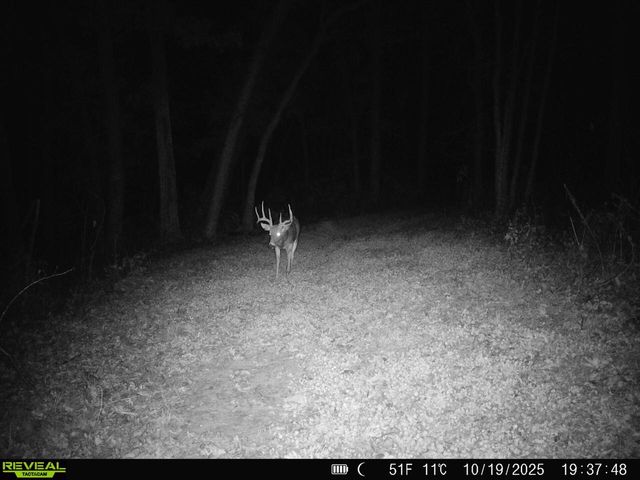 14096 Turben Ridge ROAD, Soldiers Grove, WI 54655