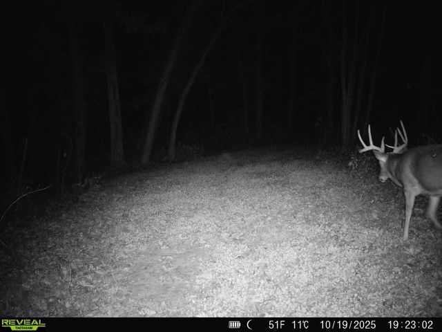 14096 Turben Ridge ROAD, Soldiers Grove, WI 54655