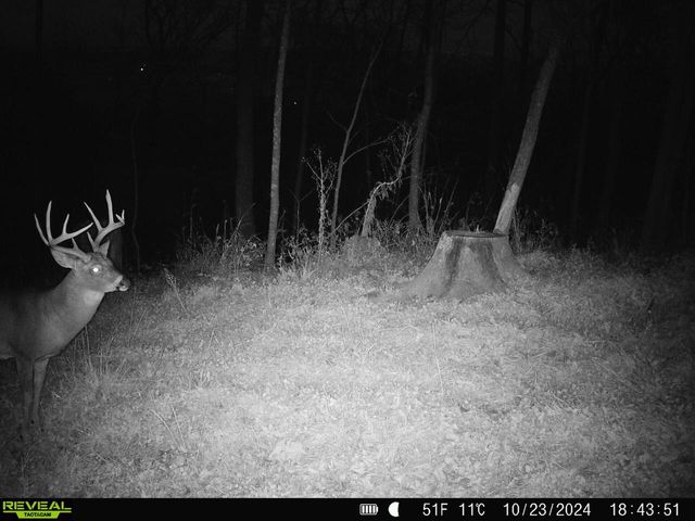 14096 Turben Ridge ROAD, Soldiers Grove, WI 54655