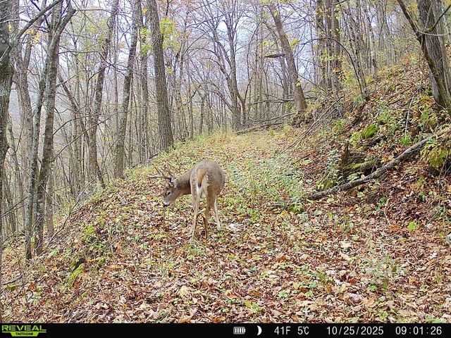 14096 Turben Ridge ROAD, Soldiers Grove, WI 54655