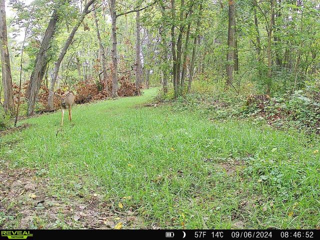 14096 Turben Ridge ROAD, Soldiers Grove, WI 54655