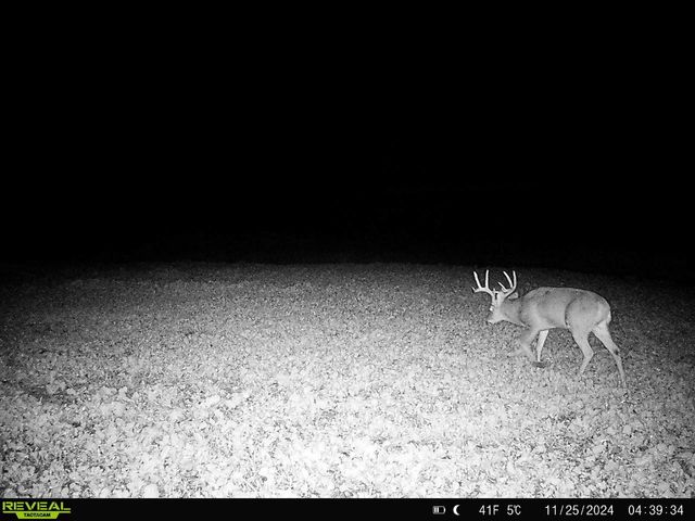 14096 Turben Ridge ROAD, Soldiers Grove, WI 54655