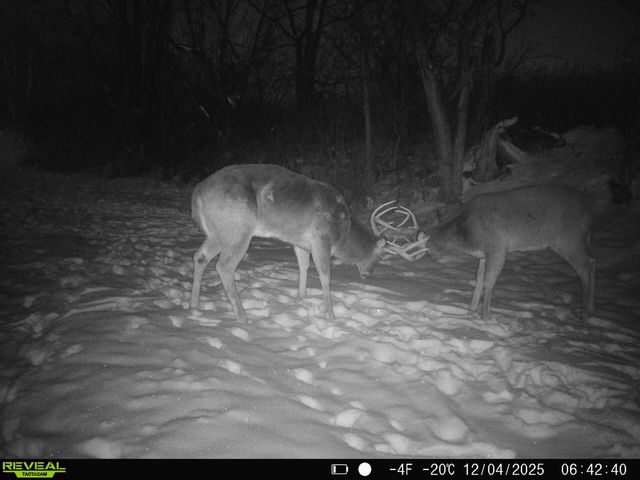 14096 Turben Ridge ROAD, Soldiers Grove, WI 54655