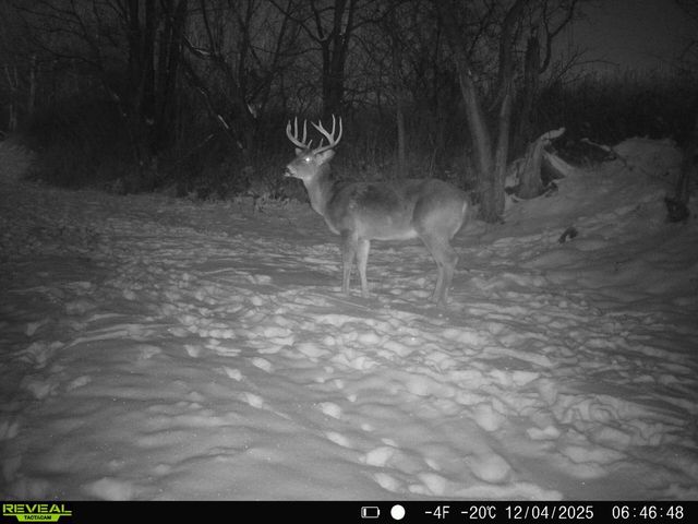 14096 Turben Ridge ROAD, Soldiers Grove, WI 54655