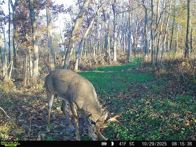 14096 Turben Ridge ROAD, Soldiers Grove, WI 54655