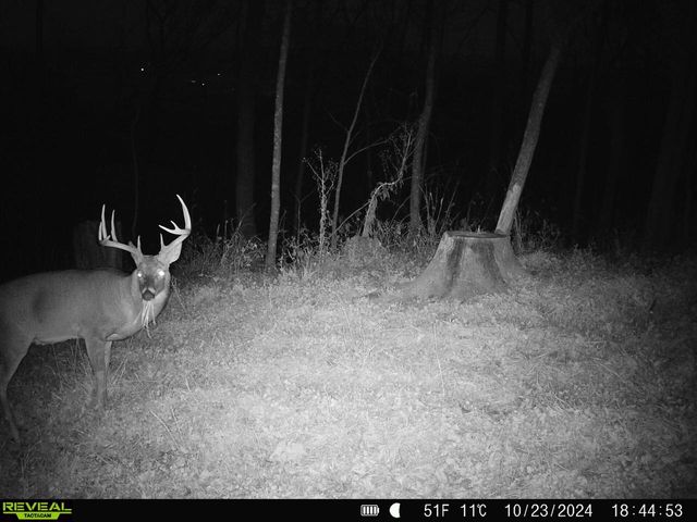 14096 Turben Ridge ROAD, Soldiers Grove, WI 54655