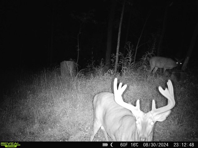 14096 Turben Ridge ROAD, Soldiers Grove, WI 54655