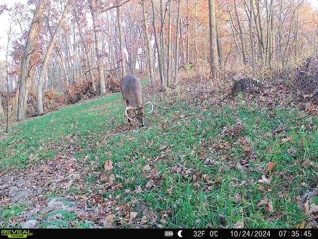 14096 Turben Ridge ROAD, Soldiers Grove, WI 54655