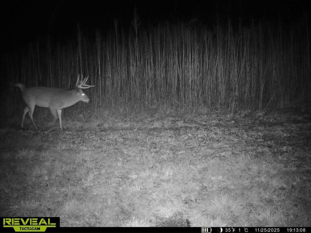 14096 Turben Ridge ROAD, Soldiers Grove, WI 54655