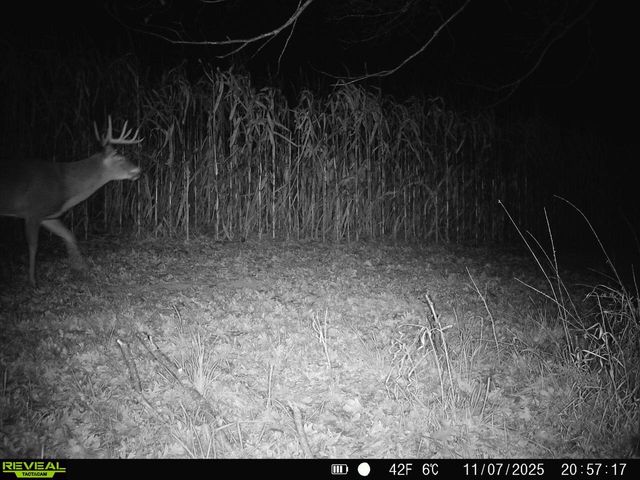 14096 Turben Ridge ROAD, Soldiers Grove, WI 54655