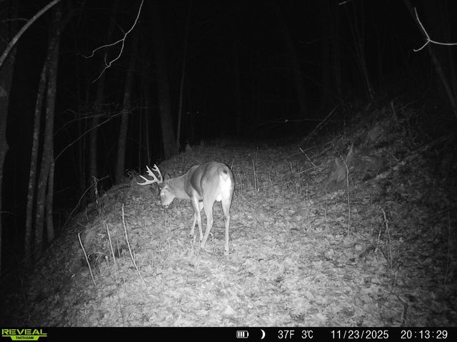 14096 Turben Ridge ROAD, Soldiers Grove, WI 54655