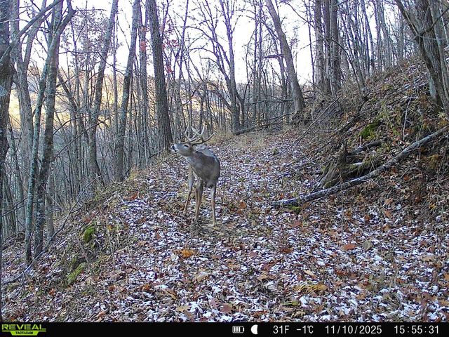 14096 Turben Ridge ROAD, Soldiers Grove, WI 54655