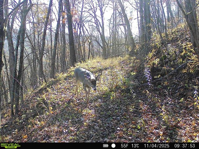 14096 Turben Ridge ROAD, Soldiers Grove, WI 54655