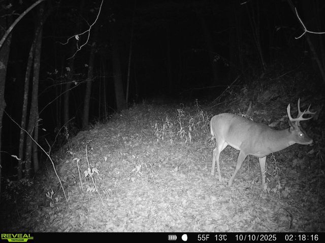 14096 Turben Ridge ROAD, Soldiers Grove, WI 54655