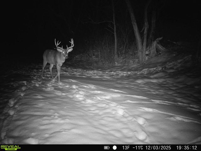 14096 Turben Ridge ROAD, Soldiers Grove, WI 54655