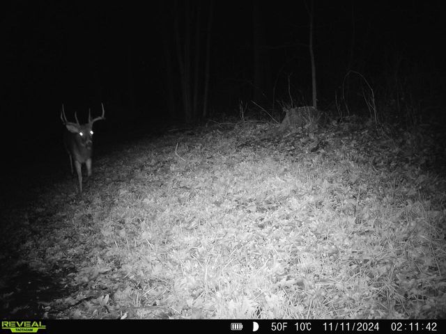 14096 Turben Ridge ROAD, Soldiers Grove, WI 54655