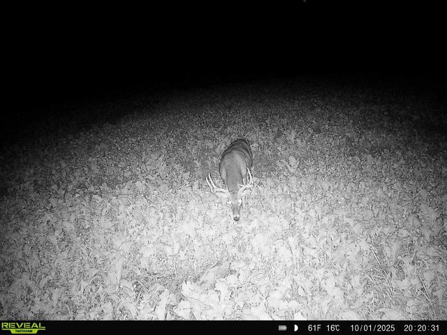 14096 Turben Ridge ROAD, Soldiers Grove, WI 54655