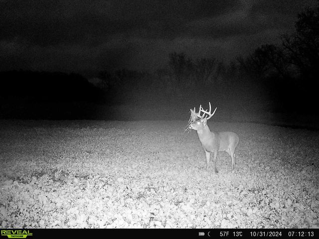 14096 Turben Ridge ROAD, Soldiers Grove, WI 54655