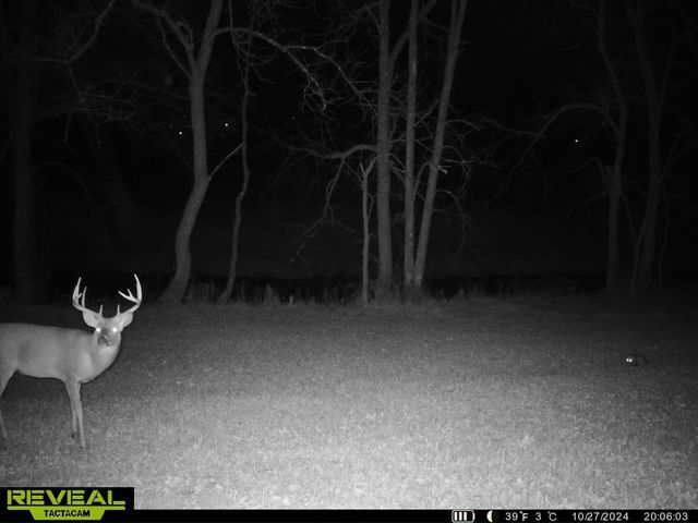 14096 Turben Ridge ROAD, Soldiers Grove, WI 54655